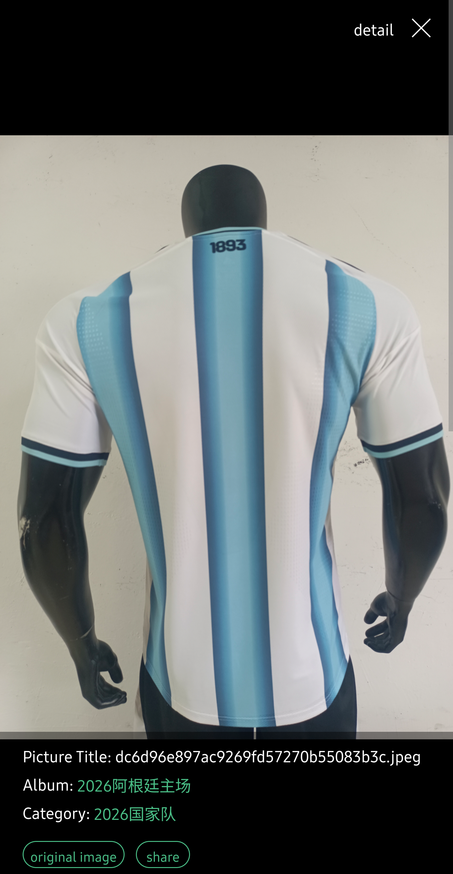 Argentina 2026 Home Player edition