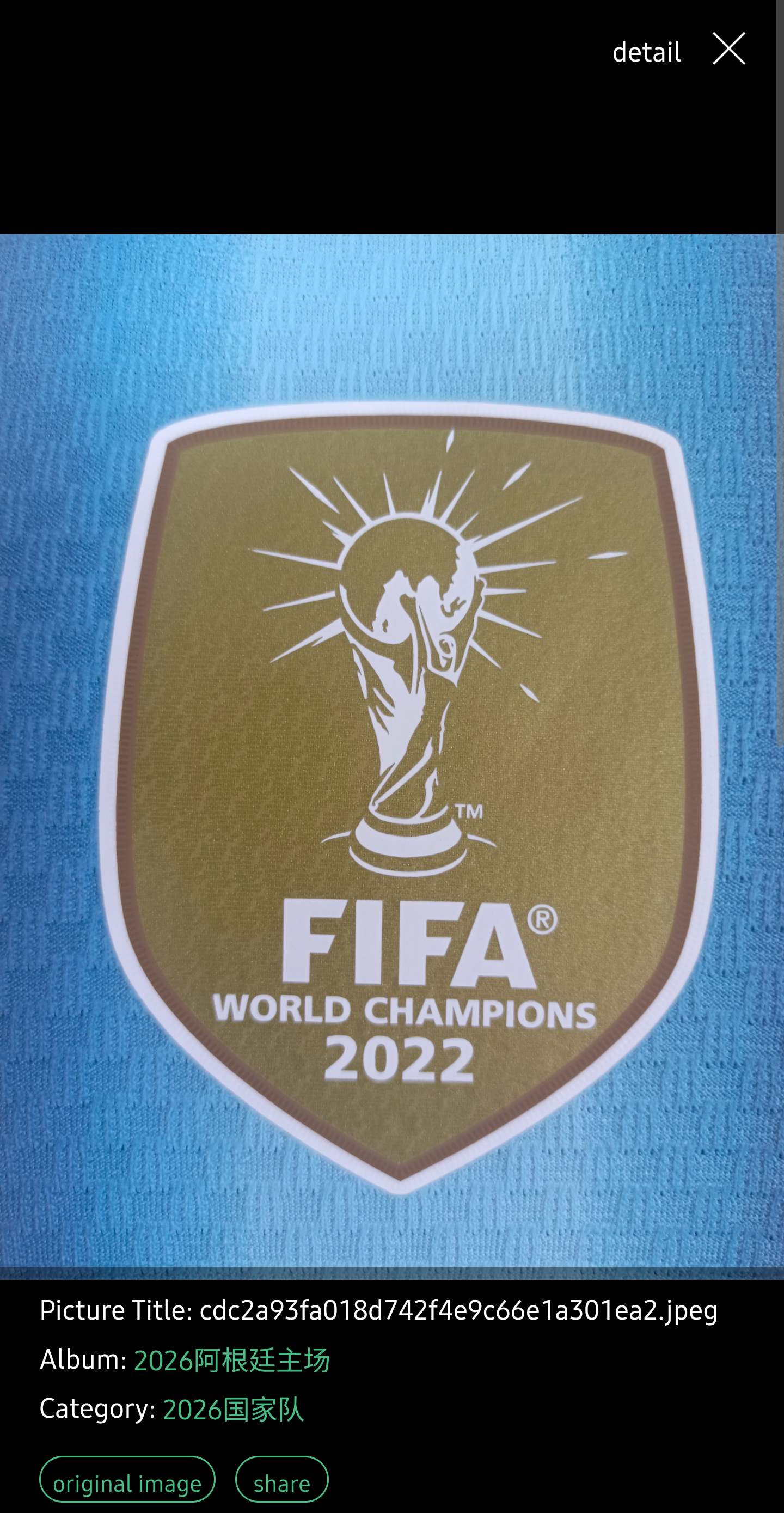 Argentina 2026 Home Player edition